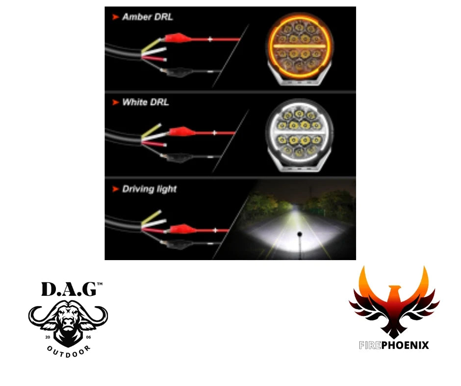 D.A.G Fire Phoenix 6.5